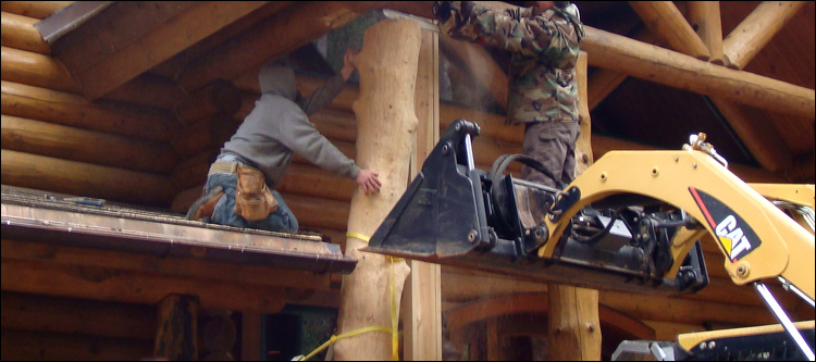 Log Home Log Replacement  Smithville, Ohio